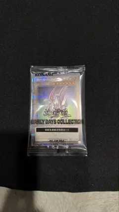 2026年最新】ホーリーナイトドラゴン シクの人気アイテム - メルカリ