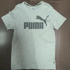 PUMA Tシャツ グレー 160cmのサムネイル