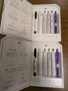 匿名【新品非売品】国内未発売含　２セット１２本　PILOT パイロット 株主優待のサムネイル