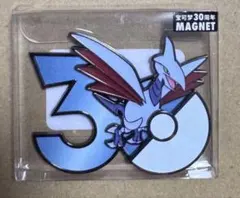 中国限定 ポケモン30周年 マグネット 宝可梦MAGNET エアームド - メルカリ
