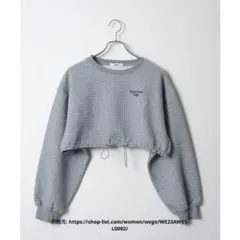WEGO グレー クロップドスウェット
