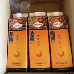 新品・未開封】豊潤サジー 1000ml 3本セット - メルカリ