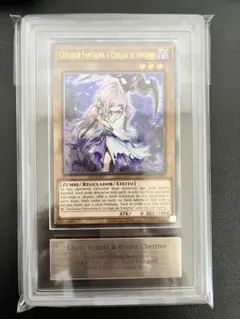 MTG PSA8 モックスロータス 銀枠 UNHINGED | Mercari