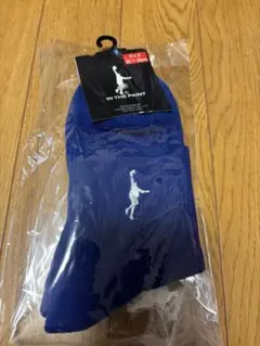 IN THE PAINT バスケットボールソックス 22〜25cm