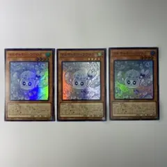 い マルチャミーフワロス スーパー 3枚セット 遊戯王 - メルカリ