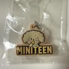 MINITEEN めじるしアクセサリー ドギョム DK ドア