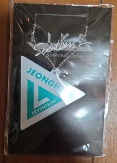 SEVENTEEN JEONGHAN キーホルダー