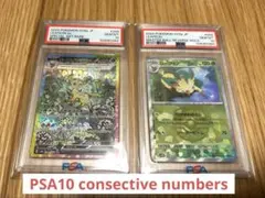 ポケモンカード　リーフィア SAR マスターボール ミラー PSA10 連番