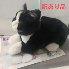 なでなでねこちゃんEX とら 撫でると鳴くぬいぐるみ
