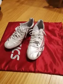 ASICS JETRAY ELITE 25.0cm