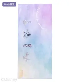 【SUKALA】プリントヨギラグ　ディズニー　web限定…gf