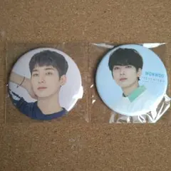 SEVENTEEN　 缶バッジ2個セット　ウォヌ