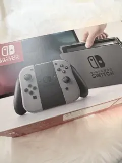 Nintendo Switch グレー本体 ドック付き