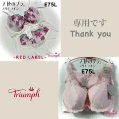 むちゅーる(*´³`*)様 リクエスト 2点 まとめ商品