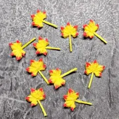 フィオーナ様確認ページ