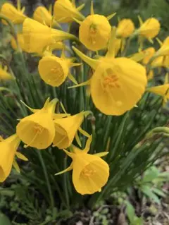 Ruki-ta様 リクエスト 2点 まとめ商品