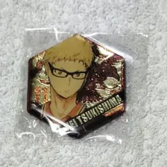 ハイキュー!! マグネット 月島