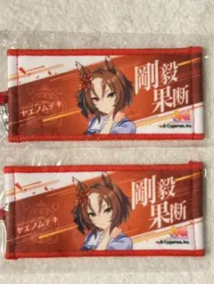 ウマ娘 ヤエノムテキ リアルガチャ 応援 ミニタオル キーホルダー 秋公演 2個