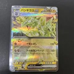 2025年最新】バンギラスexの人気アイテム - メルカリ