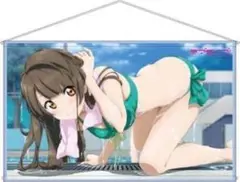 正規品 ラブライブ 南ことり 水着で誘惑♡ シャワータペストリー