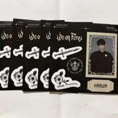 &TEAM We on Fire ステッカー HARUA