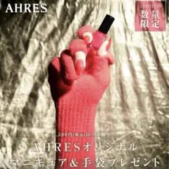 【限定品/新品未開封】AHRES アーレス グローブス、ネイル セット
