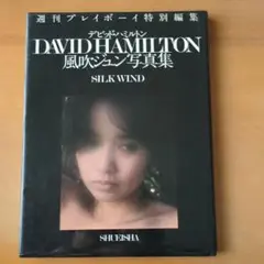 ビンテージパズル◎デビットハミルトン◎渚の女500PDavid Hamilton 2025年最新】デビッドハミルトンの人気アイテム - メルカリ