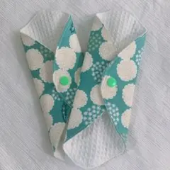 Item thumbnail for item 546321a7-9a02-4d22-a4f3-a7513a3b0a96