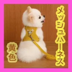 Item thumbnail for item ae001702-1ad1-45b1-9e8c-a82dc46296b7