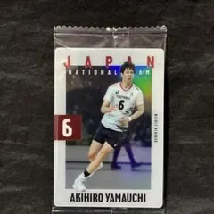 バレーボール男子日本代表ウエハース2025第2弾 山内 晶大 - メルカリ