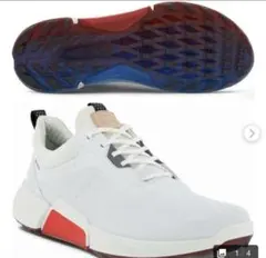 ECCO GOLF Biom H4 ゴルフシューズ EU43 27cm相当 - メルカリ