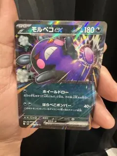 2026年最新】モルペコ ポケカの人気アイテム - メルカリ