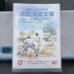 第108回 全国高校野球選手権 北北海道大会 パンフレット　プログラムのサムネイル