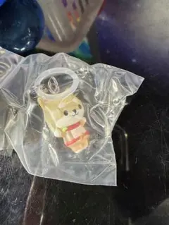 JOCHUM ジェオチャム JO1 めじるしアクセサリー まめちぃ 豆原一成