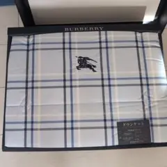 2025年最新】BURBERRY羽毛布団の人気アイテム - メルカリ