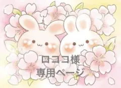 専用ページです⋈*.。