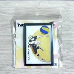 Item thumbnail for item 3c2a6d6f-f530-4db5-b7ca-7796ab3cbe2e