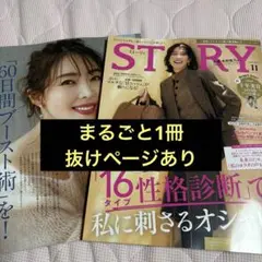 STORY ストーリィ 2025年11月号 ※一部抜けページ有り