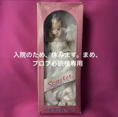 スカーレットちゃん サイドパートロングヘア カタログ付き ⭐︎お 