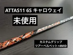 Item thumbnail for item c3b727f3-de90-4103-a9f2-2592dad8161a