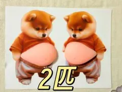 おなかぷにぷにシール　柴犬 ステッカー1枚 もっちもち立体シールスクイーズ　2個