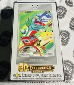 中国限定 ポケモンカードゲーム 30周年記念 プロモカードシリーズ ボックス