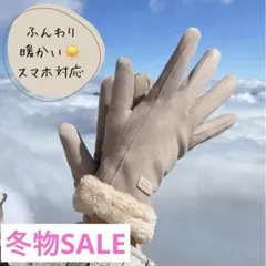 ベージュ スマホ対応 手袋 グローブ 防寒 冬 裏起毛 通勤 通学 ファー付き
