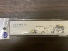 Item thumbnail for item 96e6a0dd-da0d-4038-9611-aa68c6417748