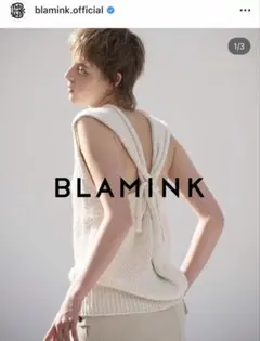 【美品】BLAMINK ブラミンク 2025バックリ ボンニットベスト 38
