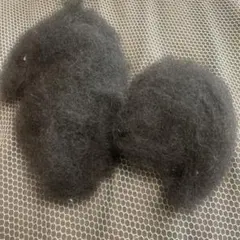 Item thumbnail for item 6774fe0c-11f9-4576-87dd-c56303804dd2