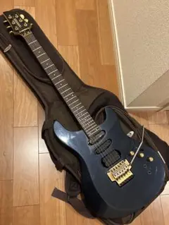 2025年最新】fernandes apg-85sの人気アイテム - メルカリ