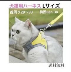 【犬猫用ハーネス】L 光る ♦️お値下げ グレー×黄 リード付　反射　柔らか　散歩