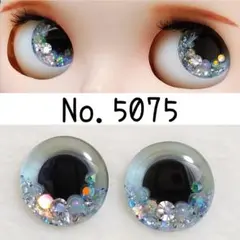 ブライスアイチップ*No.5090 - メルカリ