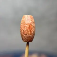 2026年最新】フォッシルコーラルの人気アイテム - メルカリ